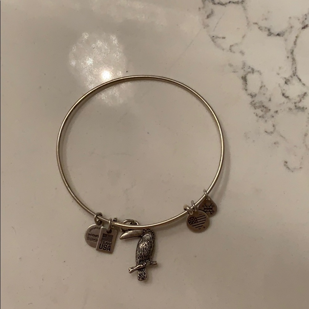 Silver Alex and ani bracelet